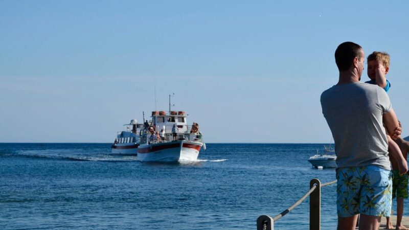 From Eastern Ibiza: Ibiza Town Round-Trip Ferry Transfer - Key Points