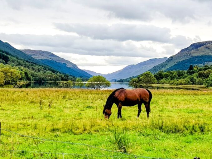 From Edinburgh: 3-Day Isle of Skye & Highlands Private Tour - Cancellation Policy and Booking