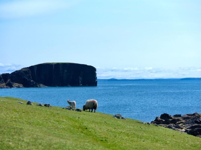 From Edinburgh: 6-Day Shetland & Nothernmost Explorer - Itinerary Highlights