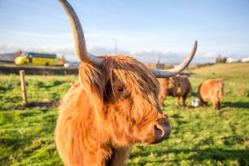 From Edinburgh: Isle of Skye & The Highlands 3-Day Tour - Participant Information