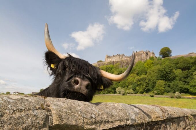 From Edinburgh: Loch Lomond, Stirling Castle & Kelpies Tour - Frequently Asked Questions