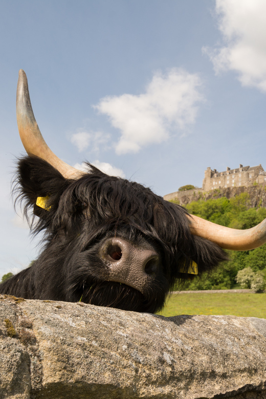 From Edinburgh: Loch Lomond, Stirling Castle & Kelpies Tour - Key Attractions