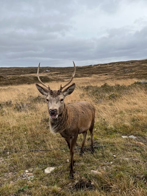 From Edinburgh: Loch Ness, Glencoe, & Highlands Private Tour - Booking Details