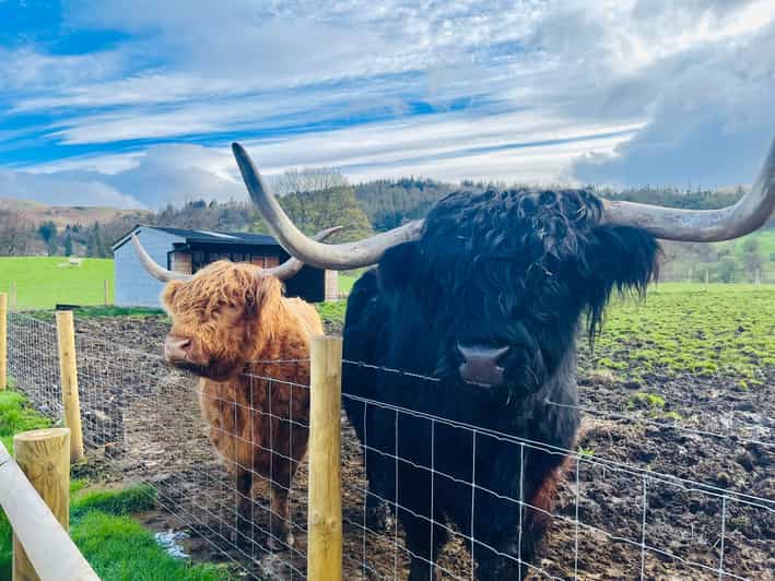 From Edinburgh: Loch Ness, Glencoe & The Highlands Day Trip - Customer Reviews and Recommendations