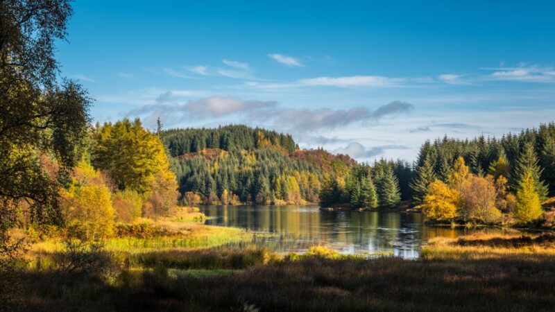 From Edinburgh: Stirling Castle, Kelpies and Loch Lomond - Tour Inclusions and Exclusions