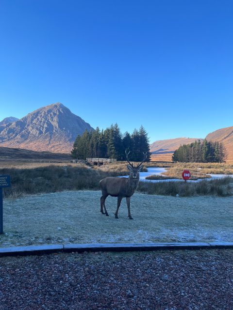 From Edinburgh: The Kelpies, Glencoe & Loch Lomond Day Tour - Tour Experience