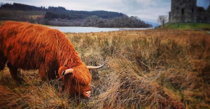 From Edinburgh:The West Highlands, Oban and Glencoe Day Tour - Tour Overview