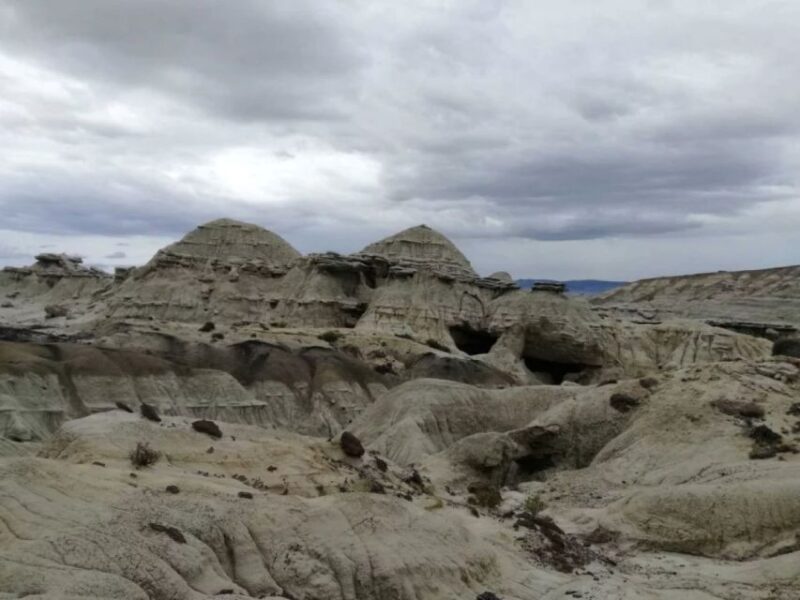 From El Calafate: La Leona Petrified Forest Day Trip - Fitness Requirements