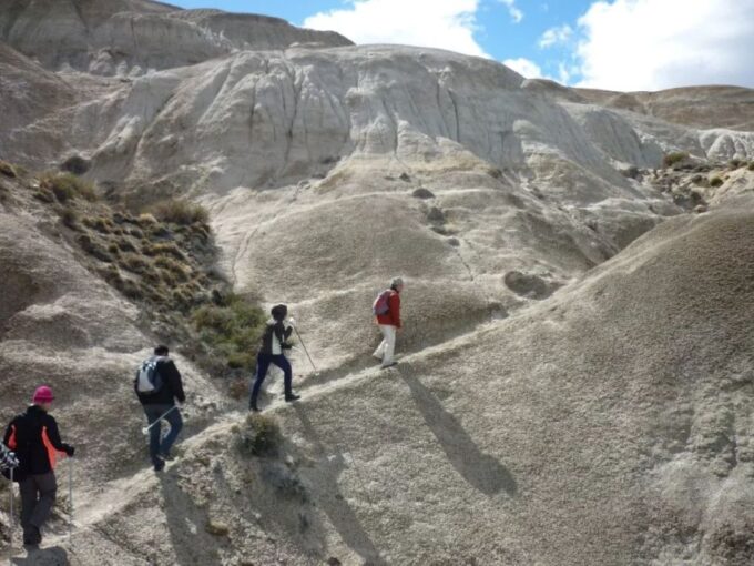 From El Calafate: La Leona Petrified Forest Day Trip - Mythical Route 40