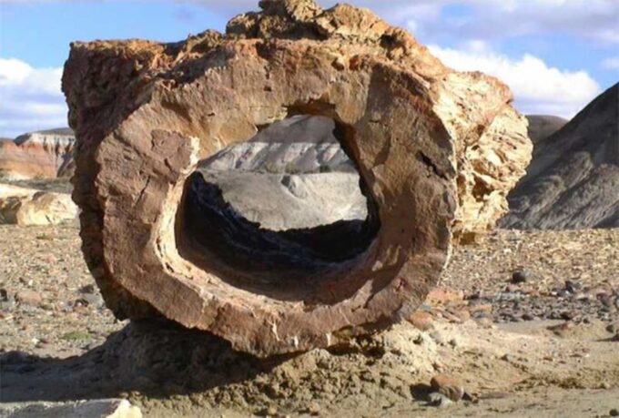 From El Calafate: La Leona Petrified Forest Day Trip - Frequently Asked Questions
