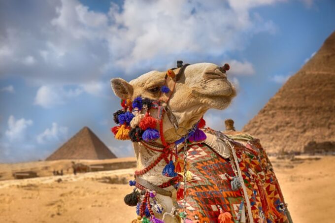 From El Gouna: Cairo and Giza Highlights Day Trip With Lunch - Additional Costs