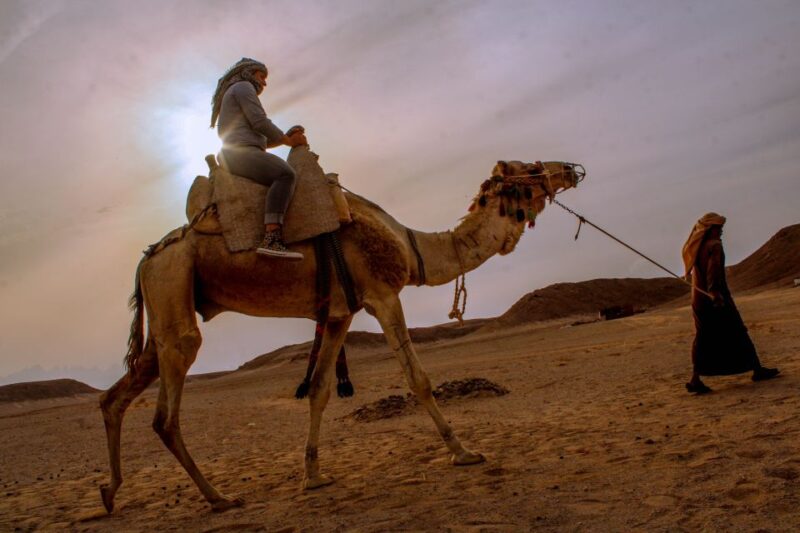 From El Gouna: Dry Canyon Quad Bike Morning Tour - Exclusions and Restrictions
