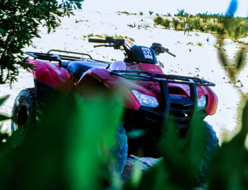 From El Gouna: Dry Canyon Quad Bike Morning Tour - Safety and Guidelines