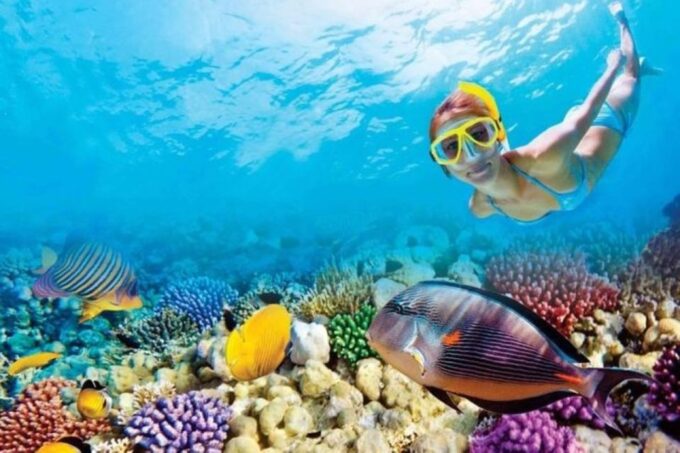 From El Gouna: Orange Bay Island Trip & Snorkeling & Lunch - Customer Reviews