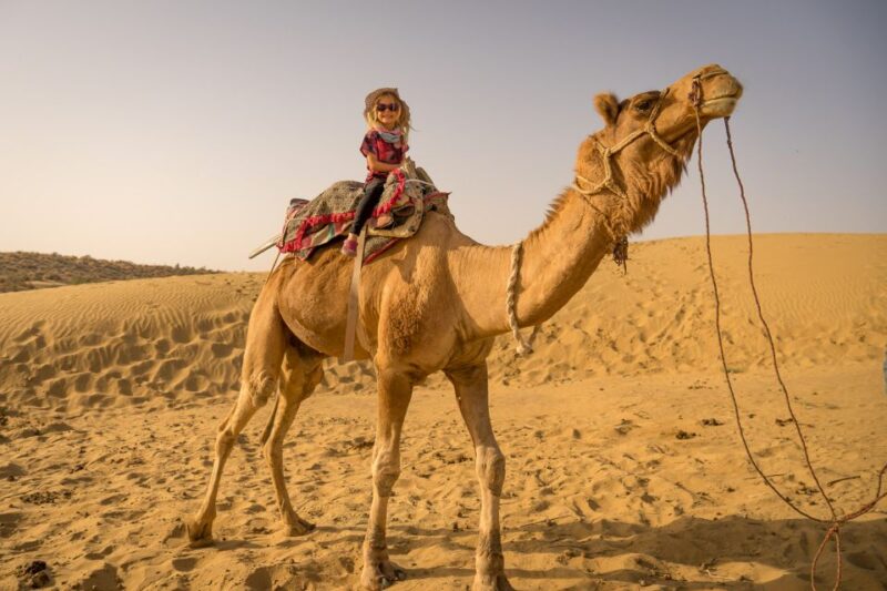 From EL Gouna: Quad Safari, Bedouin Village, & Camel Ride - Key Points