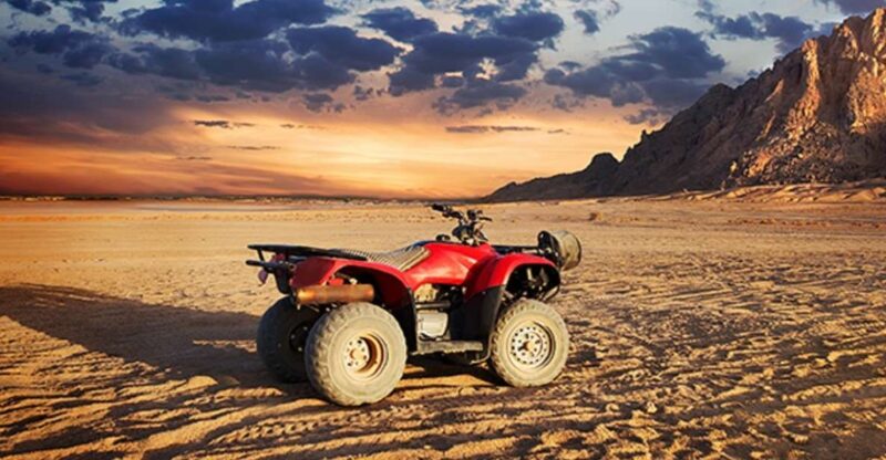 From EL Gouna: Quad Safari, Bedouin Village, & Camel Ride - Itinerary Details