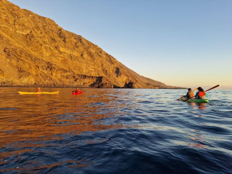 From El Remo: La Palma Sea Kayaking Tour - Price and Duration