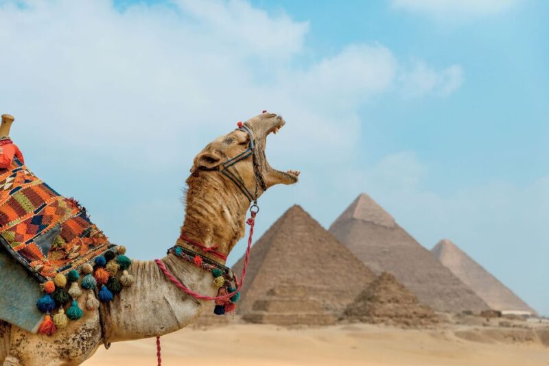From El Sokhna Port : Sakkara Pyramids Desert Safari Trip - Itinerary Highlights