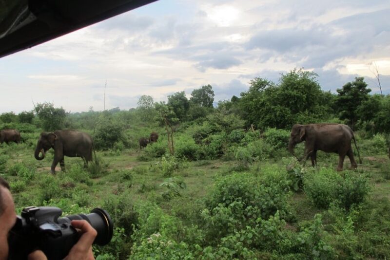 From Ella: All Inclusive Udawalawe National Park Safari - Customer Reviews and Ratings