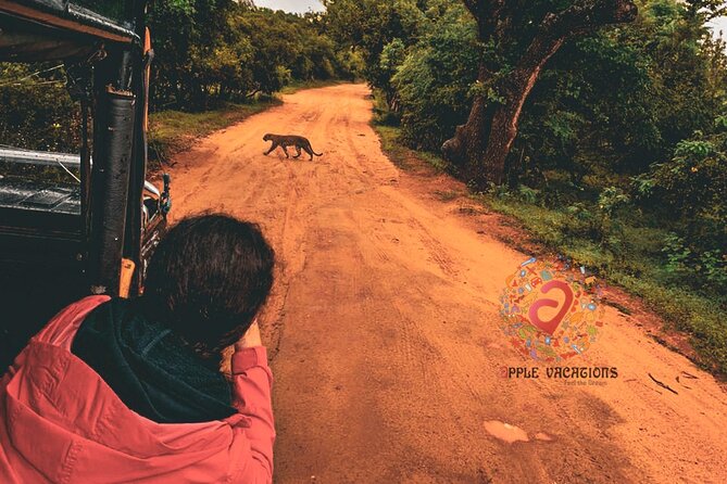 From Ella - Day Excursion to Yala National Park - Pickup Information