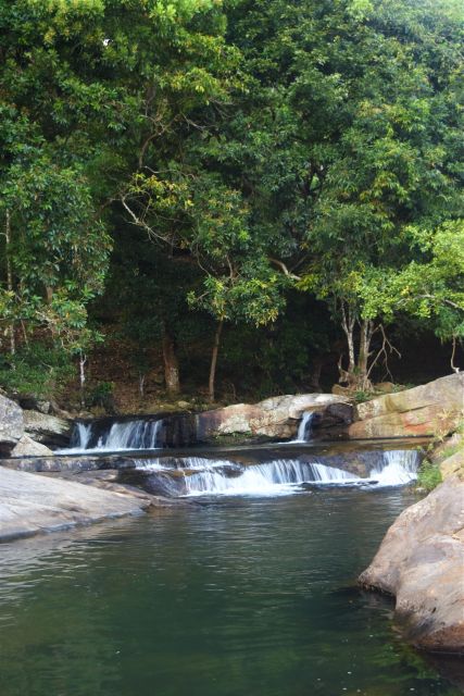 From Ella: Diyaluma Waterfall & Natural Pool Bath With Lunch - Key Points
