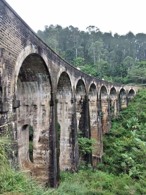 From Ella: Ella Unfogettable Day tour & Train Ride Tour - Who Will Love This Tour?