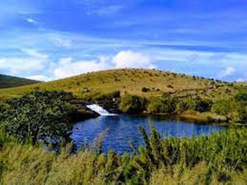 From Ella : Horton Plains National Park & Nuwaraeliya Tour - What to Bring