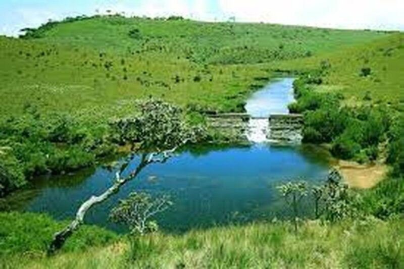 From Ella : Horton Plains National Park & Nuwaraeliya Tour - Customer Feedback