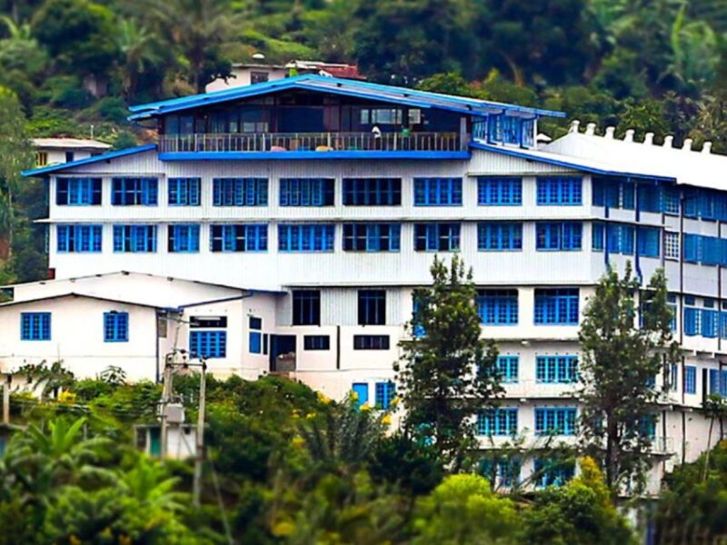 From Ella: Horton Plains Trekking & Tea Factory Visit - Uva Halpewatte Tea Factory