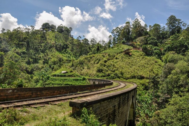 From Ella: Little Adam's Peak and Nine Arches Bridge Hiking - Key Points