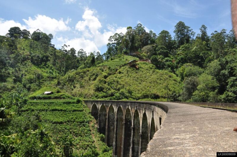From Ella: Little Adam's Peak and Nine Arches Bridge Hiking - What to Bring