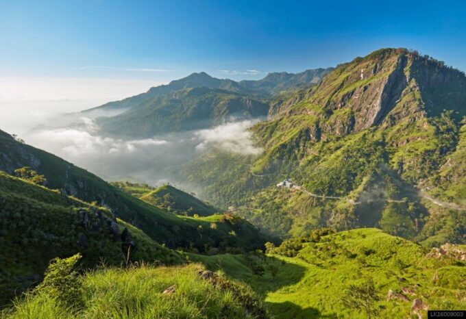 From Ella: Little Adam's Peak and Nine Arches Bridge Hiking - Customer Reviews