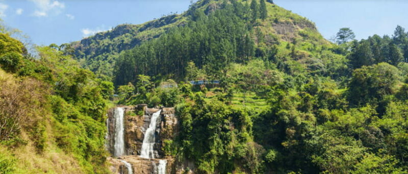 From Ella: Nuwara Eliya Tea Factory and Plantation Tour - Key Points