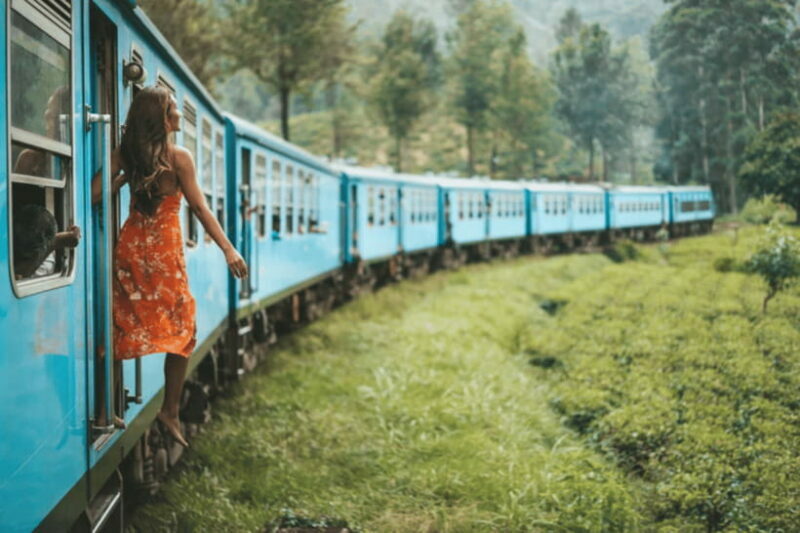From Ella: Nuwara Eliya Tea Factory and Plantation Tour - The Sum Up