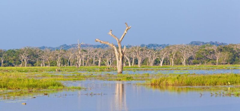 From Ella: Shuttle to Down South Any Location W Yala Safari - Inclusions