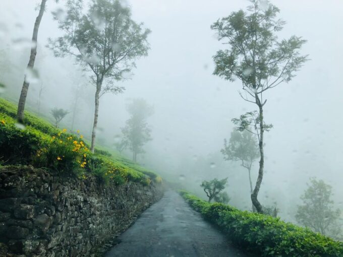 From Ella: Tea Adventure in Haputale With Village Lunch - Cancellation Policy