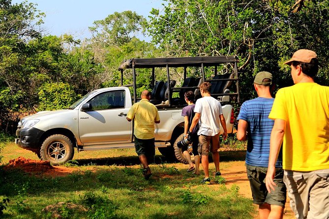 From Ella: Transfer to Mirissa/Unawatuna/Galle & Yala/Udawalawe Safari Day Trip - Discovering Udawalawe National Park