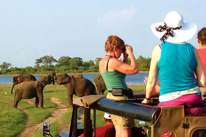 From Ella: Transfer to Mirissa/Unawatuna/Galle & Yala/Udawalawe Safari Day Trip - Safari Reviews and Ratings