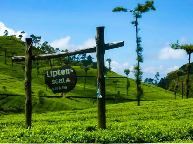 From Ella: Tuk-Tuk Tea Adventure: Liptons Seat Excursion! - Itinerary & Highlights