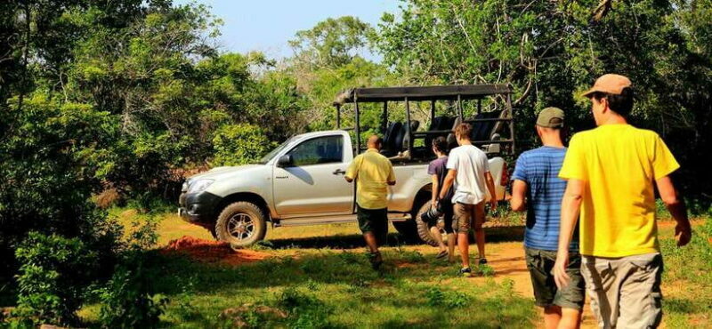 From Ella: Udawalawa Safari and Tangalle/Hiriketiya Transfer - A Detailed Look at the Tour from Ella