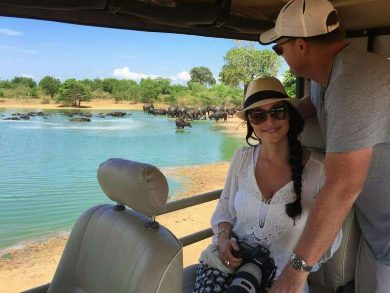From Ella: Udawalawa Safari and Tangalle/Hiriketiya Transfer - Final Thoughts