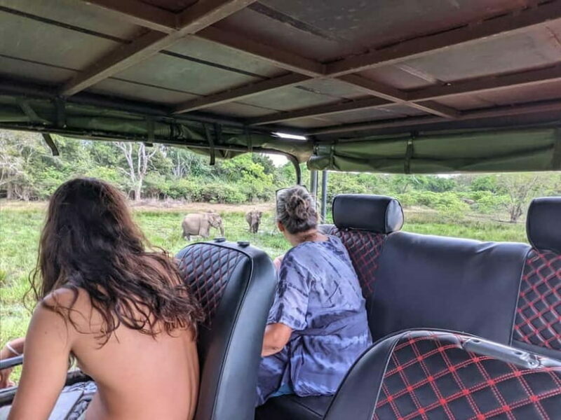 From Ella : Udawalawa Safari & Drop Tangalle/ Mirissa/ Galle - The Sum Up