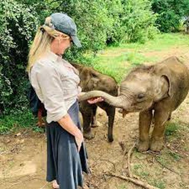 From Ella :- Udawalawa Safari & Elephant Transit Home Tour - Elephant Transit Home Visit