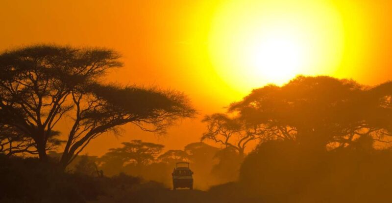 From Ella: Udawalawe Safari With Elephant Transit Home Visit - Wildlife Experience