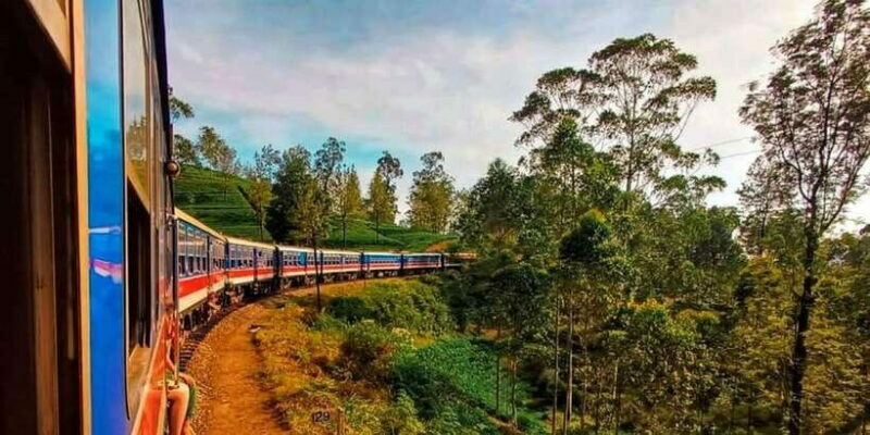 From Ella -Unforgettable Day Trip of 8 Sights & Train - The Sum Up