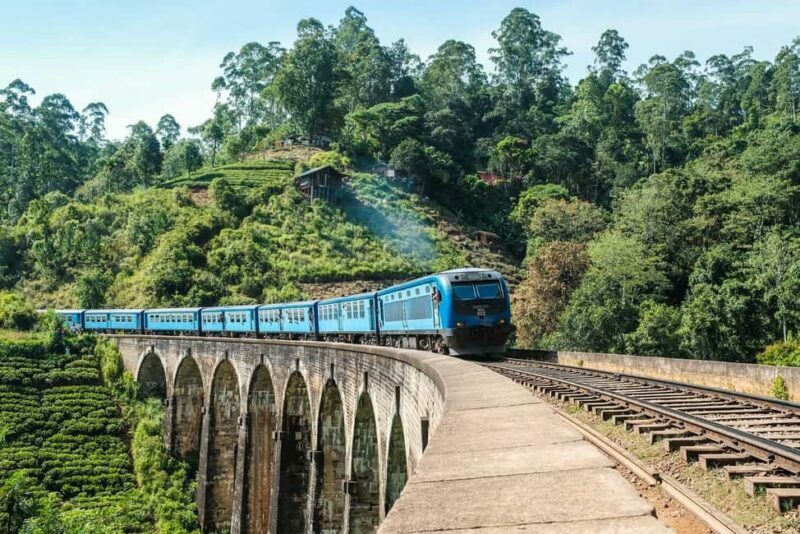 From Ella : Waterfalls, Nine Arch Bridge, Little Adam's Peak - Who Will Love This Tour?