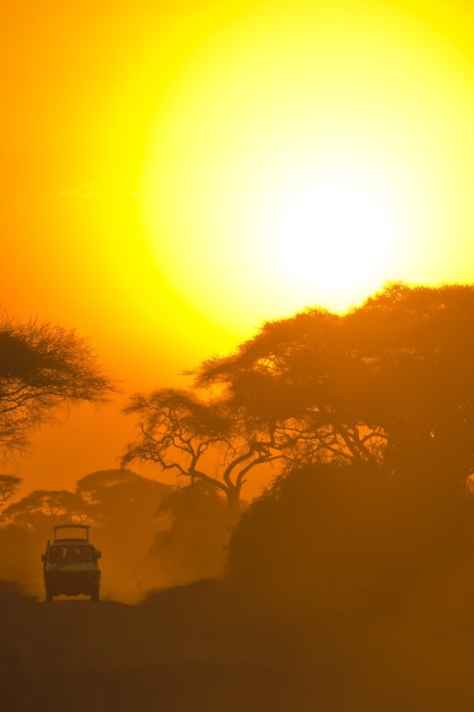 From Ella: Yala National Park Safari Tour in a 4x4 - Key Points