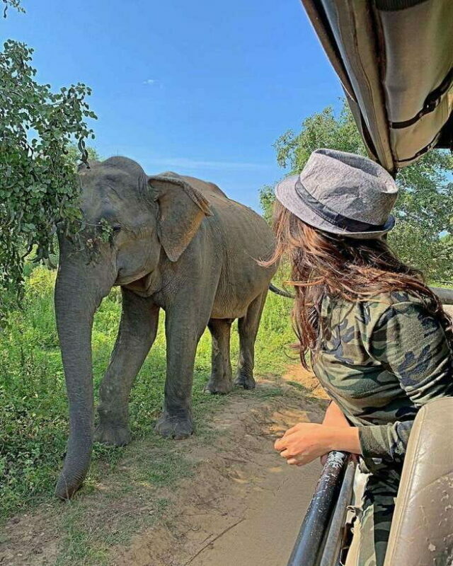 From Ella: Yala Safari with Tangalle/Mirissa/Galle Drop-off - What’s Not Included and Additional Costs