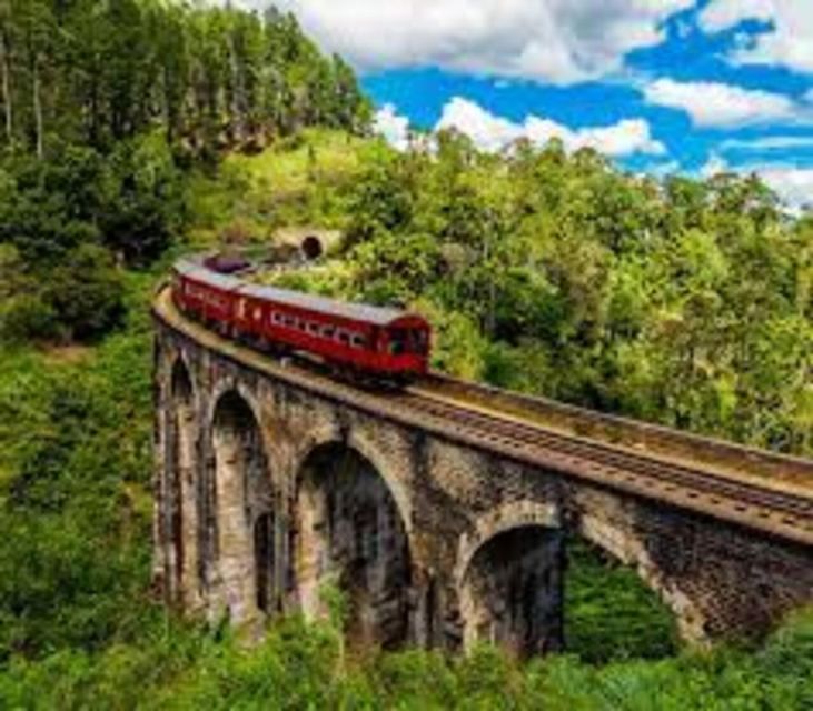 From Ella:Nine Arch Bridge, Ella Rock,Little Adamspeak Tour - Ella Rock Hike