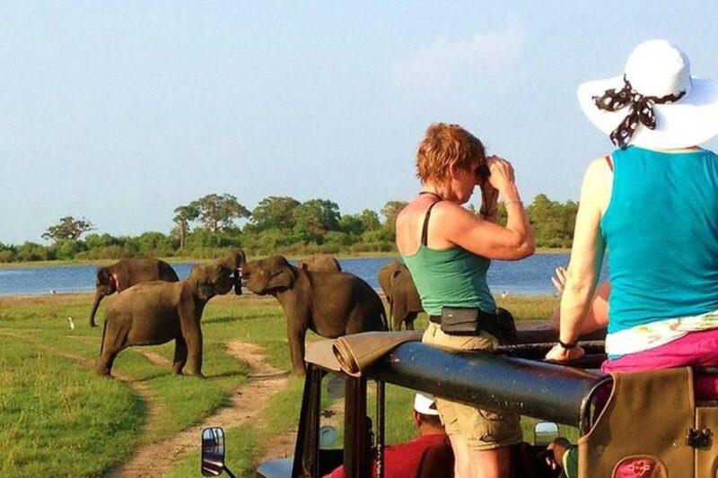 From Ella:Transfer to Galle/Mirissa With Udawalawa Safari - Wildlife and Conservation
